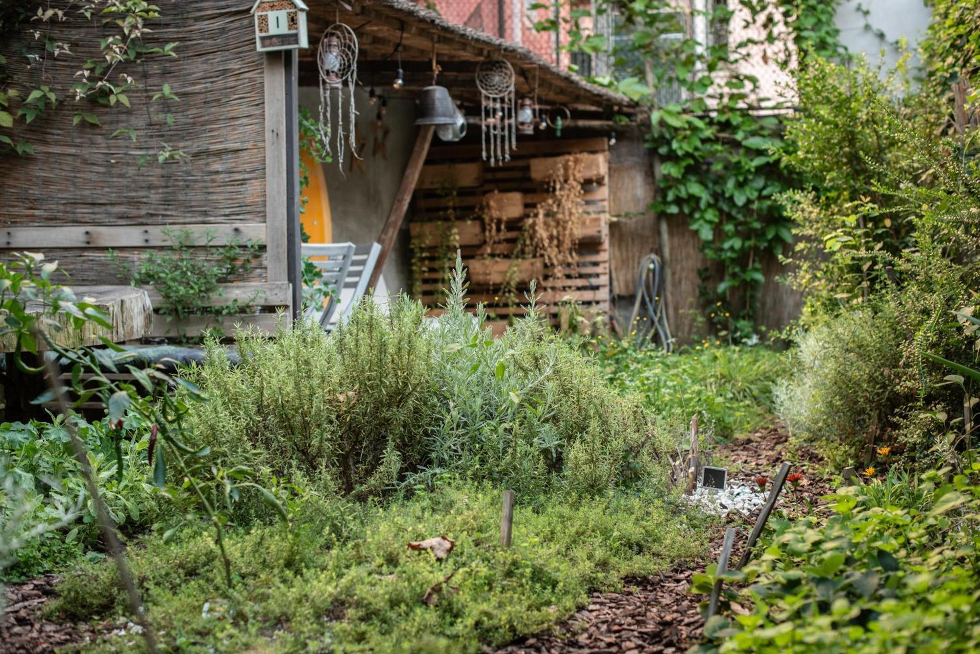 Отель Casa Babbuino Верона Экстерьер фото
